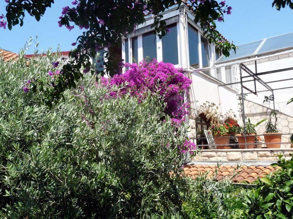 Villa Tania Hvar Town Exterior foto